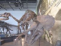 恐竜博物館見学でひとり親家庭を支援　長崎南ロータリークラブ