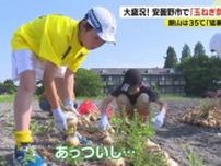 飯山は35℃の「猛暑日」　長野・松本も今年最高　炎天下の畑で「玉ねぎ祭り」大盛況！