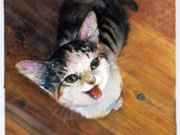 保護猫との暮らしを描いた猫絵本、発売記念パネル展が5月末まで開催中