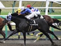 【羽田盃枠順】南関東の牡馬クラシックが開幕 ヒーローコールは4枠8番