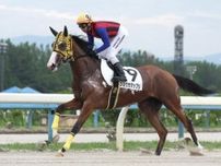 【佐賀競馬】佐賀で開催される珍しい条件の3歳戦 西日本ダービーの注目馬を一挙紹介