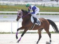 9歳以上限定の「敬馬賞」 19歳牝馬ヒカルアヤノヒメなど出走予定馬が発表