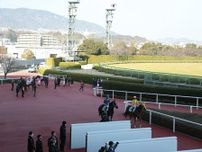 【阪神5R新馬戦結果】レイデオロ産駒のデルシエロが接戦制しデビューV！