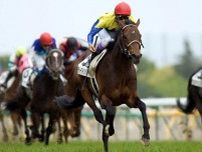 【日本ダービーの偉大な記録】ディープインパクト産駒が7勝で最多 2勝以上を挙げている種牡馬は何頭？