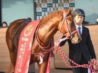 【日本ダービー】“夏季五輪開催年”の日本ダービーは名馬誕生の予感… 過去には無敗三冠馬など