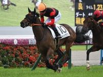 【京都5R新馬戦結果】キトンインザスカイがV シスキン産駒のJRA初勝利