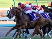 半兄は2歳王者のアジアエクスプレス ボヌールキャッツが新馬勝ち狙う