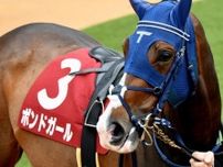 クイーンSの過去の3歳馬の成績は？ 今年はボンドガール＆コガネノソラが参戦