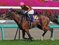 母系にGI馬ズラリ ピコチャンブラックがデビューVへ仕上がり良し