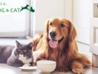 GREEN DOG＆CAT、ブランド名変更で「猫用品」拡充へ アイテム数は8カ月で3倍以上に