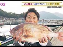 ふく成、九州朝日放送の番組で人気を博した「真鯛豪華食べつくしセット」を期間限定で再販