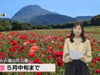 赤い花のじゅうたんと平成新山の美しいコラボ「しまばら火張山花公園」ポピーが見ごろ迎える《長崎》