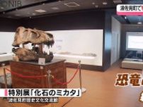 恐竜の化石約60点　波佐見町歴史文化交流館で特別展が開幕　オープニングセレモニーも《長崎》