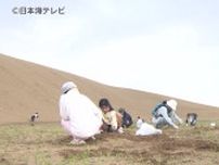 美しい砂の景色を市民で守る　鳥取砂丘で80人が参加し除草ボランティア　鳥取市