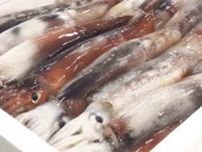 地産地消でお得に！新潟県内産「スルメイカ」・「サザエ」が旬迎える 価格・漁獲量ともに平年並み