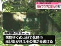 クマに襲われ男性ケガ、2〜3頭「目撃」　栃木・日光市