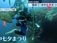 海底で「水中七夕まつり」　新潟・佐渡市