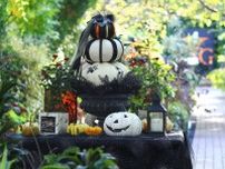 横浜・英国庭園のハロウィンがおしゃれ！2023年「オータム・フェスティバル」では秋バラも見頃です。