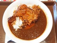 すき家が「タンドリーチキンカレー」発売！　食べに行ったら皿の上が一瞬で骨だけになった件