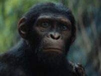 【独占】パフォーマンス・キャプチャのパイオニアが教える、猿役を演じるための役作りとは　映画『猿の惑星／キングダム』