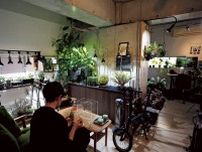 アクアリウムと植物に囲まれた自然を感じられる暮らし｜あの人の趣味部屋