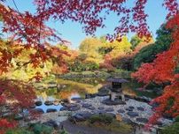 都内も紅葉の見ごろ　東京都公園協会が9庭園の情報を発表