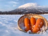 雪の中で長期熟成、野菜の甘みがグンとアップ 　暖冬による少雪を乗り越え、「雪室・雪下野菜」期間限定販売