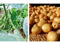 ジャガイモと枝豆の植え付けから収穫まで 　小峰公園が「おいしい野菜づくり」の参加者を募集中