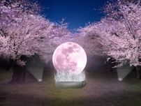 浮間公園・小金井公園・舎人公園で「花と光のムーブメント」開催　 趣向を凝らしたライトアップで夜も美しく