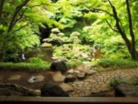 初夏に花をいける体験イベント　国分寺市「殿ヶ谷戸庭園」の茶室で開催