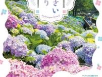 約40品種2万本のアジサイが競演　香川・国営讃岐まんのう公園で梅雨を彩る「あじさいまつり」