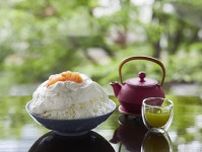「ゴルゴンゾーラチーズ＆グレープフルーツの自家製かき氷」　緑茶のセットで優雅に、京王プラザ3階のティーラウンジ