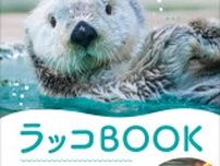 日本の水族館にはわずか3頭　ラッコのすべてが分かる『ラッコBOOK』が登場