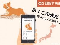 災害発生後すぐに機能させて犬たちの支援を　「被災地の犬と飼い主をみんなで助けるWEBサイト」作成の支援を募集