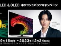 シャープ、4Kテレビ「AQUOS XLED&OLED」など購入で最大55,000円をキャッシュバック