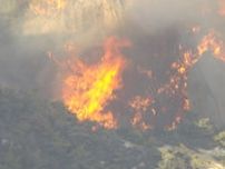 5日間で242ヘータール焼いた山火事　70代男性を書類送検　焚き火を山に燃え移らせた疑い　広島