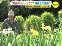 “最後のハナショウブ”　管理する人の高齢化で「しょうぶ園」が閉園へ　広島・福山市