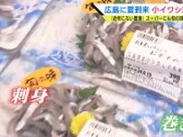 「７回洗えば鯛より美味」 瀬戸内の夏の味覚　小イワシ漁が解禁　広島のスーパーには刺身に巻き寿司