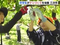 中学生が地元特産のナシ「摘果」作業を体験　10月に収穫も　広島・三次市