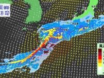 【大雨情報】南西諸島・西日本・東日本を対象 「大雨と雷及び突風に関する全般気象情報」気象庁発表　１８日（火）にかけて梅雨前線の活動活発に　24時間予想雨量　東海300ミリ・九州南部250ミリ【風・降水シミュレーション】