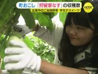 広島市のご当地野菜「狩留家なす」　学生はスイーツを開発　「発想に感動した」