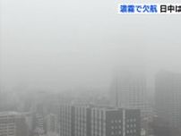 鳥居もビルも真っ白に　街は霧に包まれ　朝は瀬戸内沿岸で濃霧　フェリーも相次ぎ欠航　霧が晴れたあとは強烈な蒸し暑さに　広島