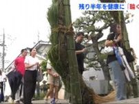 茅の輪をくぐって残り半年の健康を願う　「輪くぐりさん」　広島・三次市の神社