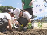 広島土砂災害から10年　関連死を含め77人が犠牲に「亡くなった人が空から見てきれいと思ってほしい」地元の小学生たちが慰霊の思いを込め花を植え付け