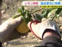 「レモン摂取で血圧上昇を抑える効果」広島･大崎上島町で産学官連携のレモン研究成果を発表