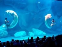 鄭州の水族館で潜水作業中に潜水士が溺死事故―河南省鄭州市