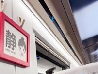 中国高速鉄道の静音車両、ハイテクかと思いきや「超人工的」だった―香港メディア
