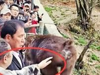 女性がサルのお尻触る、隣りにいた男性とばっちり―中国
