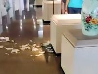 子どもが大花瓶を破損、博物館の「あまりにも寛大な措置」に疑問の声も―中国メディア