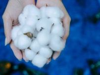 米国の禁止令は効果なし？新疆綿を含む製品が大々的に販売されていることが判明―独メディア
